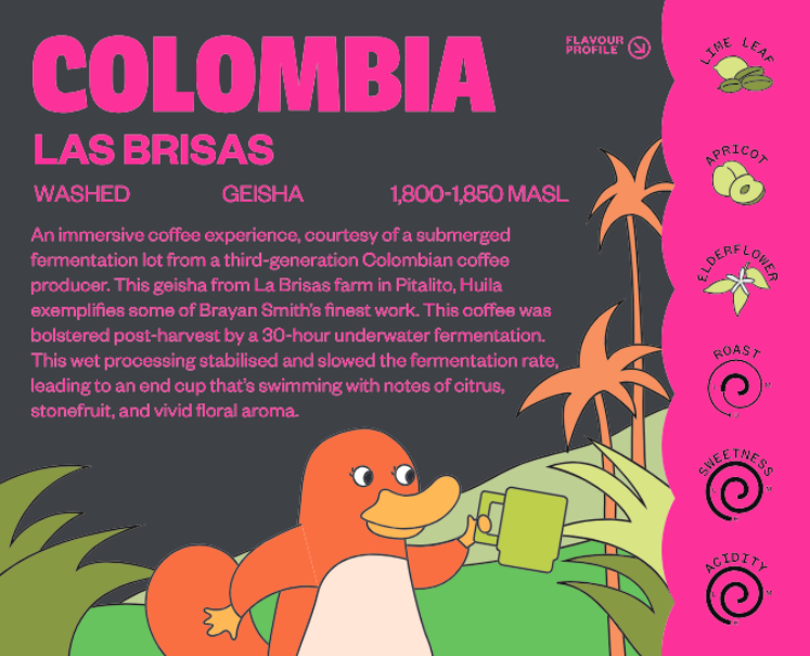 哥伦比亚 微风庄园 Las Brisas