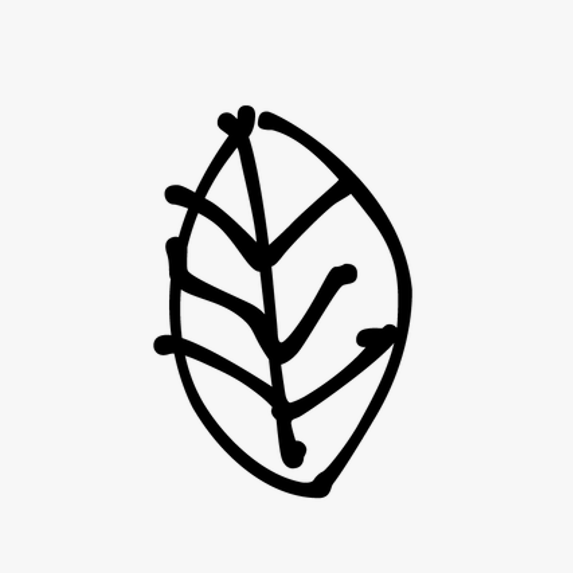 Mazelab Coffee