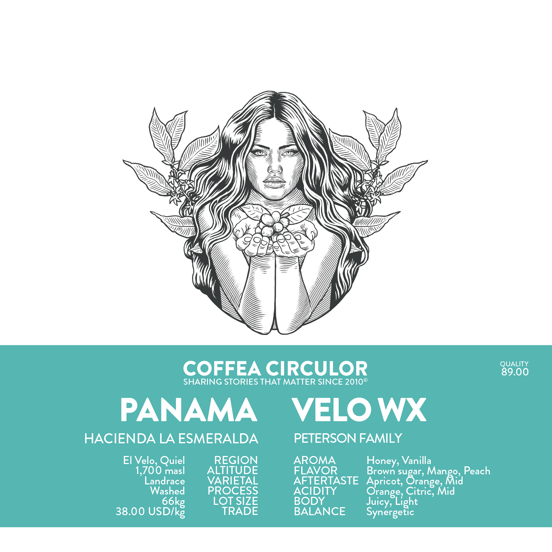 巴拿马 翡翠庄园 Hacienda La Esmeralda Velo Landrace 水洗