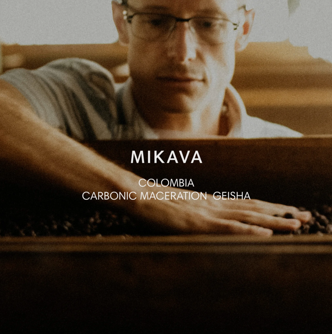 哥伦比亚 MIKAVA 瑰夏 二氧化碳浸渍