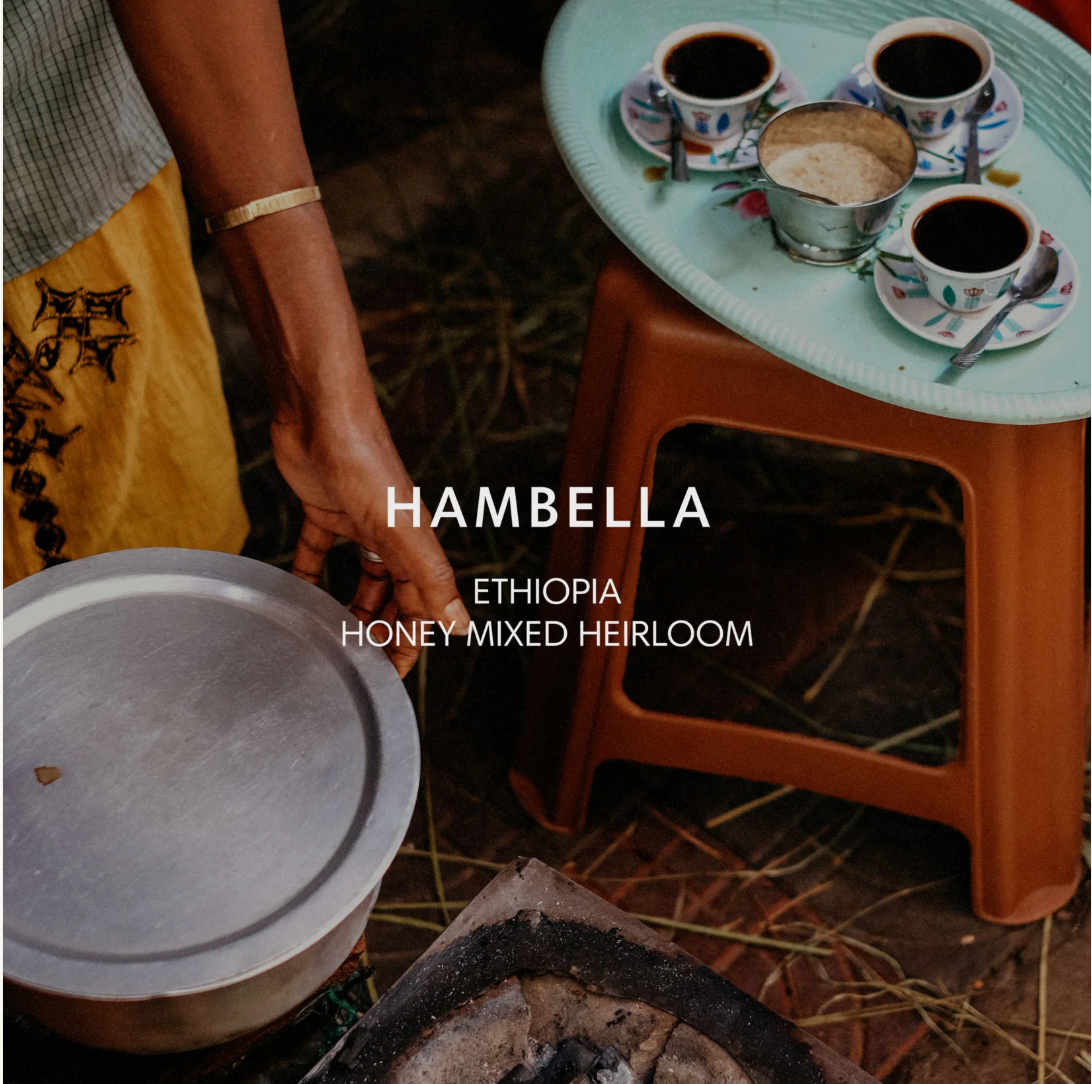 埃塞俄比亚 HAMBELLA 蜜处理 HEIRLOOM